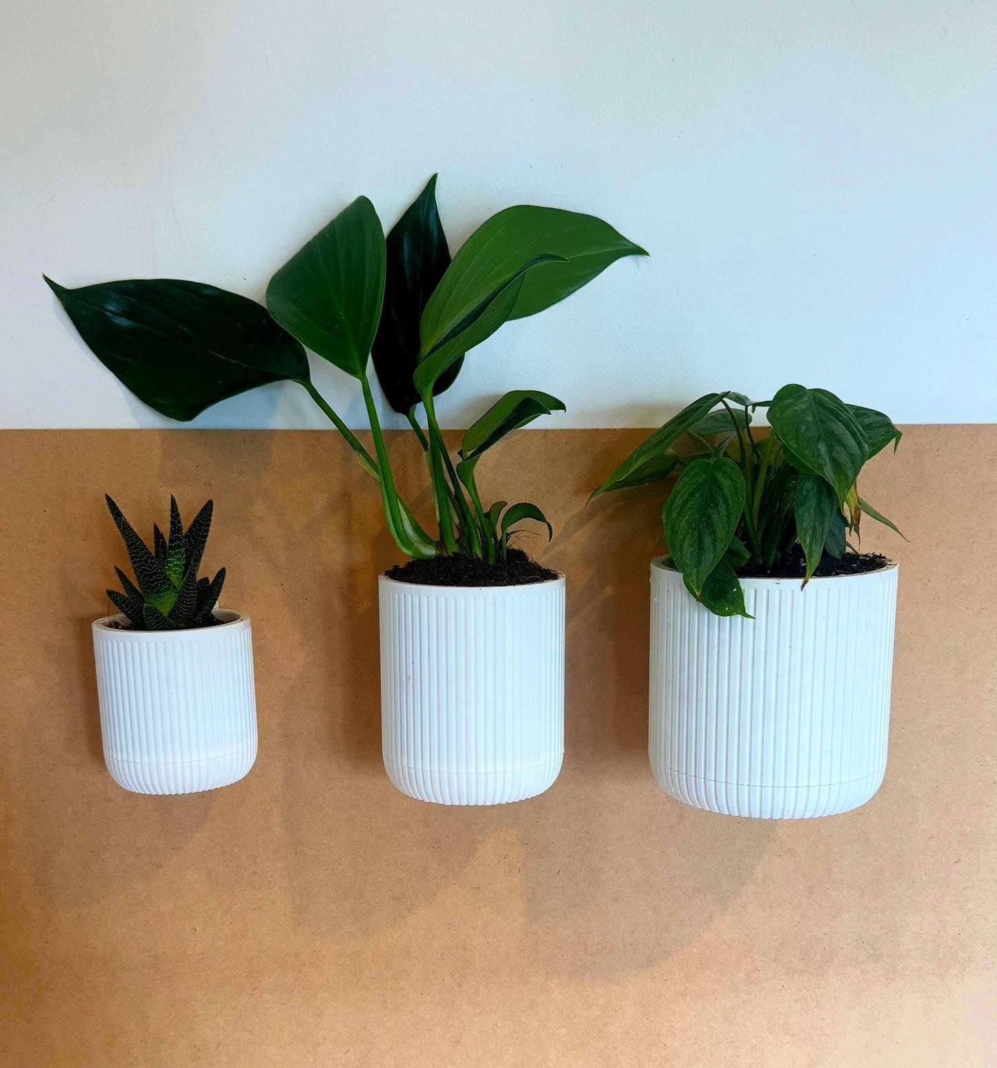 Mid-Century Vertical Hanging Wall Planter with removable drip tray