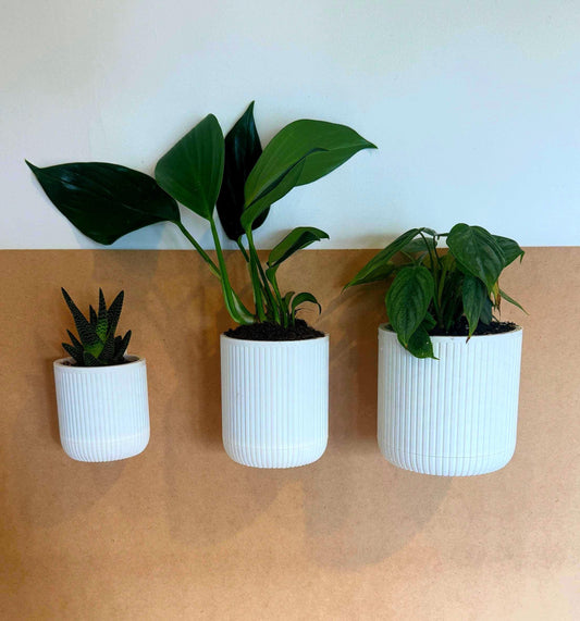 Mid-Century Vertical Hanging Wall Planter with removable drip tray