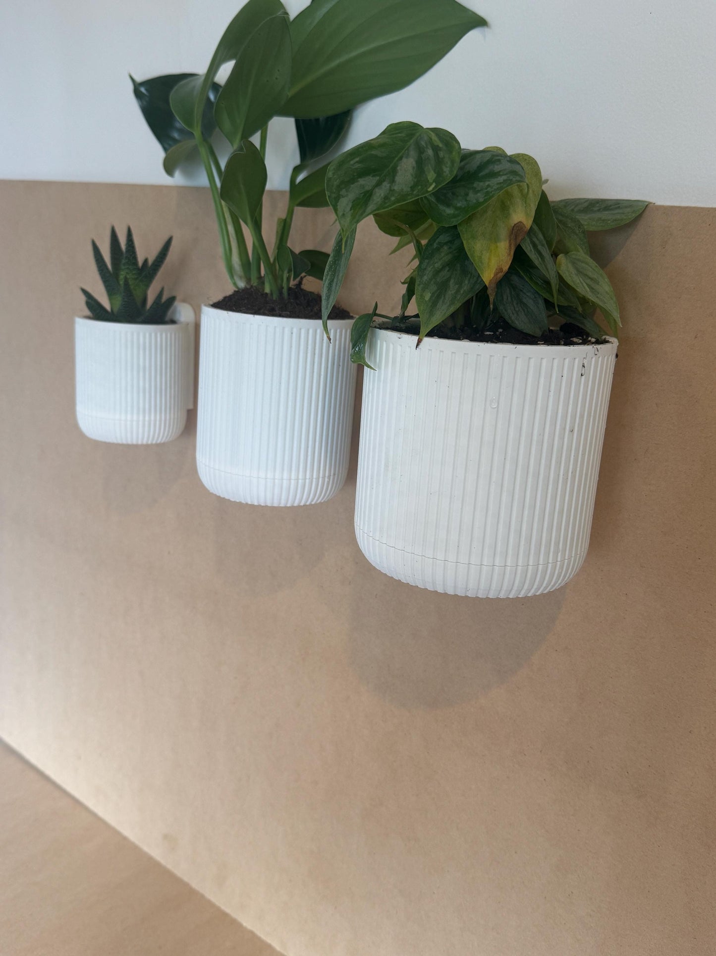 Mid-Century Vertical Hanging Wall Planter with removable drip tray