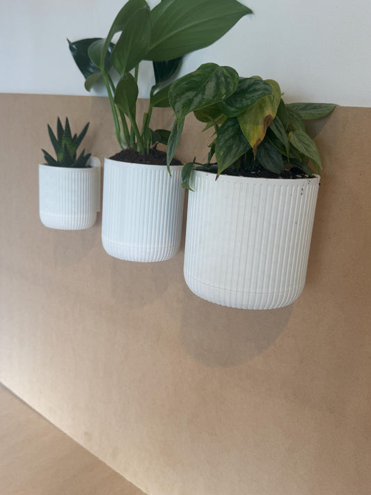 Mid-Century Vertical Hanging Wall Planter with removable drip tray